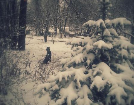 29. novembrī plkst 11:00 aicinām uz talku un sālsmaizi Līčos