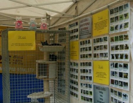 Ulubele Mūsdienu amatniecības festivālā Ulubele Mūsdienu amatniecības festivālā