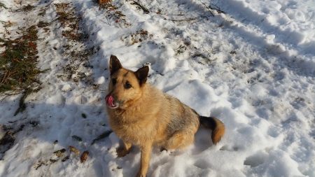 Keita (ex.Kašķīte) Keita (ex.Kašķīte)