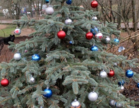 Ulubeles Ziemassvētku pateicības brokastu jampadracis Līčos Ulubeles Ziemassvētku pateicības brokastu jampadracis Līčos