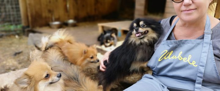 Pārdaugavā kādā dzīvoklī kārtības sargi izņem 58 suņus. Pārdaugavā kādā dzīvoklī kārtības sargi izņem 58 suņus.