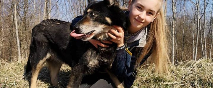 Dzīvnieku patversmēs brīvprātīgo kļūst arvien vairāk Dzīvnieku patversmēs brīvprātīgo kļūst arvien vairāk