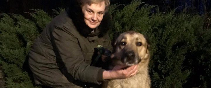 Čikago stāsts ! Sirds siltumu 100 opīšiem! Čikago stāsts ! Sirds siltumu 100 opīšiem!