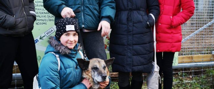 Ošiņa stāsts ! Sirds siltumu 100 opīšiem! Ošiņa stāsts ! Sirds siltumu 100 opīšiem!