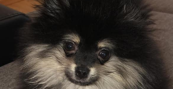 Ronija ❤