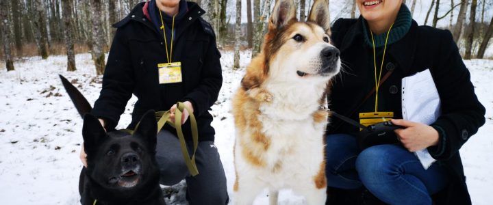 Soņas un Kvera (Lāča) stāsts ! Sirds siltumu 100 opīšiem ! Soņas un Kvera (Lāča) stāsts ! Sirds siltumu 100 opīšiem !