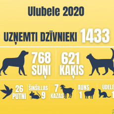 2020. gads Ulubelē! 2020. gads Ulubelē!