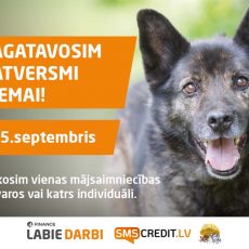BRAUC TALKĀ Ulubeles iemītniekiem sagatavoties ziemai! BRAUC TALKĀ Ulubeles iemītniekiem sagatavoties ziemai!