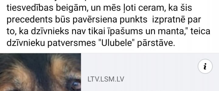 Šobrīd Ārčijs ir un paliek Ulubelē!