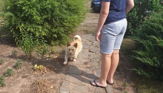 Sveicieni no aktīvā Rufi! Sveicieni no aktīvā Rufi!