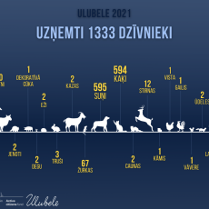 DZĪVNIEKU APRITE ULUBELĒ  jeb 2021.gads skaitļos un uzskatāmās infografikās.