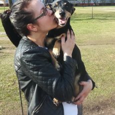 💛 U komandas māju stāsti 👣🐾ANASTASIJAS mājās: Tobis 💛 U komandas māju stāsti 👣🐾ANASTASIJAS mājās: Tobis