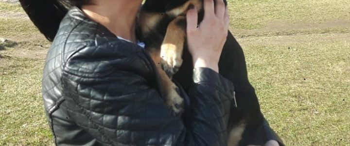 💛 U komandas māju stāsti 👣🐾ANASTASIJAS mājās: Tobis 💛 U komandas māju stāsti 👣🐾ANASTASIJAS mājās: Tobis
