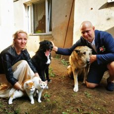 💛 U komandas māju stāsti 👣🐾NAURA un ANDAS mājās: Sāra, Muhtars, Džims un Bims ❤️