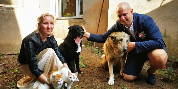 💛 U komandas māju stāsti 👣🐾NAURA un ANDAS mājās: Sāra, Muhtars, Džims un Bims ❤️ 💛 U komandas māju stāsti 👣🐾NAURA un ANDAS mājās: Sāra, Muhtars, Džims un Bims ❤️