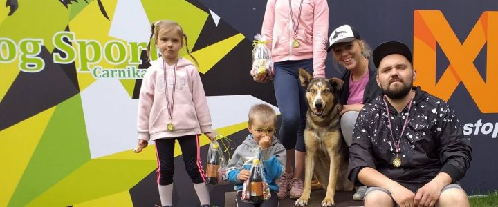 💛 U komandas māju stāsti 👣🐾 ANITAS mājās: Bulta un Sneips. Un Edijs no mākoņa maliņas ❤ 💛 U komandas māju stāsti 👣🐾 ANITAS mājās: Bulta un Sneips. Un Edijs no mākoņa maliņas ❤