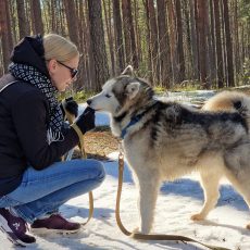 Brīvprātīgo instruktāžas atsākas! Brīvprātīgo instruktāžas atsākas!