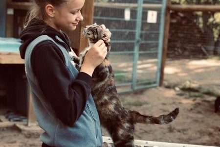💛 U komandas māju stāsti👣🐾KATRĪNAS mājās: Mūna 💛 U komandas māju stāsti👣🐾KATRĪNAS mājās: Mūna