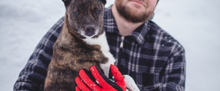 💛 U komandas māju stāsti 🐾👣NIKA mājās: Freja 💛 U komandas māju stāsti 🐾👣NIKA mājās: Freja
