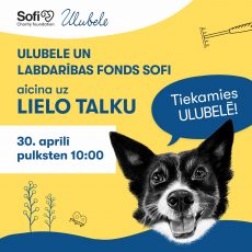 Lielā talka Ulubelē 2022 Lielā talka Ulubelē 2022