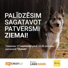 Ulubeles brīvprātīgie un dzīvnieku draugi,  AICINĀM TALKĀ ULUBELES IEMĪTNIEKIEM sestdien,17.septembrī 10:00!
