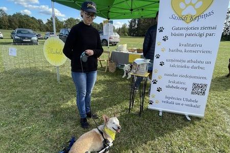 Suņu burziņš Mārupē! Suņu burziņš Mārupē!