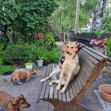 Grēta sūta sveicienus no Salacgrīvas! Grēta sūta sveicienus no Salacgrīvas!