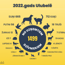 Ko nozīmējis 2022. gads Ulubelei?