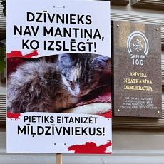 Uzaicinājums uz preses konferenci “Izglābt nedrīkst likvidēt – kur liksim komatu?” Uzaicinājums uz preses konferenci “Izglābt nedrīkst likvidēt – kur liksim komatu?”