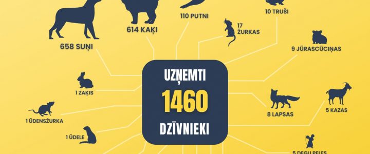 Kāds bijis 2023. gads Ulubelē? Kāds bijis 2023. gads Ulubelē?