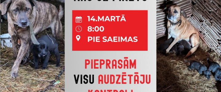 Kā apturēt mīļdzīvnieku nekontrolētu vairošanu un nepamatotu likvidāciju? Kā apturēt mīļdzīvnieku nekontrolētu vairošanu un nepamatotu likvidāciju?