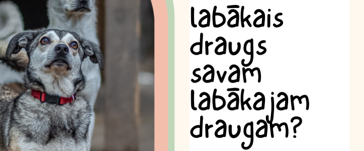 Sestdien, 20.aprīlī, tiekamies Kalnciema Kvartālā! Sestdien, 20.aprīlī, tiekamies Kalnciema Kvartālā!