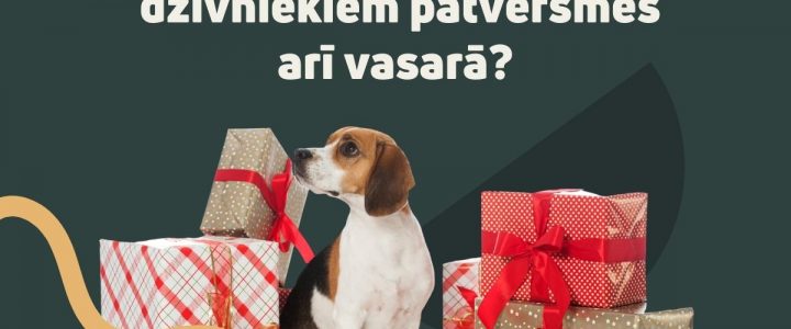 Ziemassvētki vasarā! Ziemassvētki vasarā!