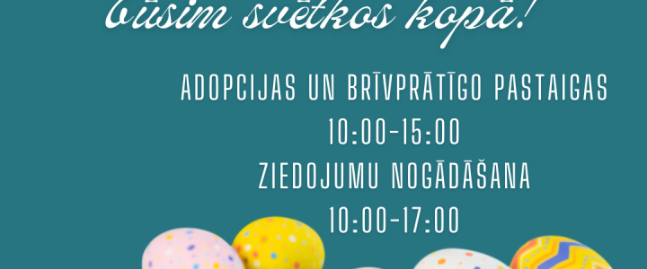 Saulainu un cerību pilnu Lieldienu rītu sveic visa lielā Ulubeles saime!