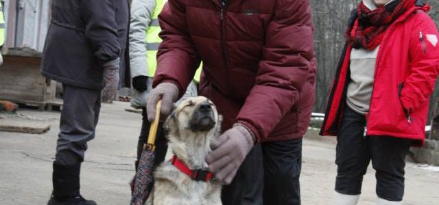 ULUBELEI 20! Par mājvietu bezpajumtniekam un viņa vienīgajam draugam: Jāzepa un Reksas stāsts! ULUBELEI 20! Par mājvietu bezpajumtniekam un viņa vienīgajam draugam: Jāzepa un Reksas stāsts!