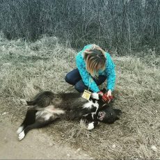 ULUBELEI 20! Ulubeles brīvprātīgie!