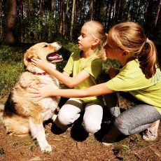 ULUBELEI 20! Ulubeles Cilvēcības skoliņa!