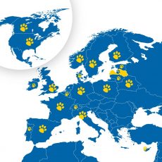 ULUBELEI 20! PASAULES ADOPCIJU STĀSTI!