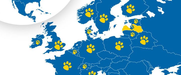 ULUBELEI 20! PASAULES ADOPCIJU STĀSTI! ULUBELEI 20! PASAULES ADOPCIJU STĀSTI!