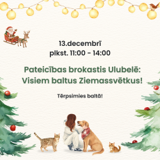 Pateicības brokastis Ulubelē jau 13.decembrī!