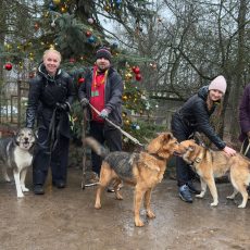 ULUBELEI 20! Ulubeles zaļie brīvprātīgie!