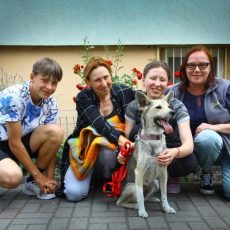 ULUBELEI 20! Karš Ukrainā un 40 bēgļi.