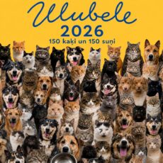 20 gadi, veidojot humānāku un empātiskāku sabiedrību – Ulubele