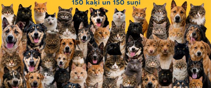 20 gadi, veidojot humānāku un empātiskāku sabiedrību – Ulubele