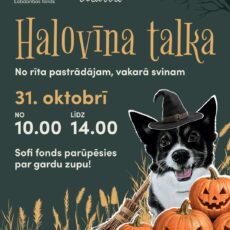 Halovīna talka Ulubelē – 31.oktobrī Halovīna talka Ulubelē – 31.oktobrī
